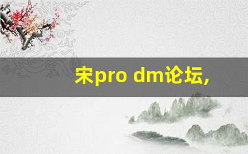 宋pro dm论坛,宋proDM怎么样